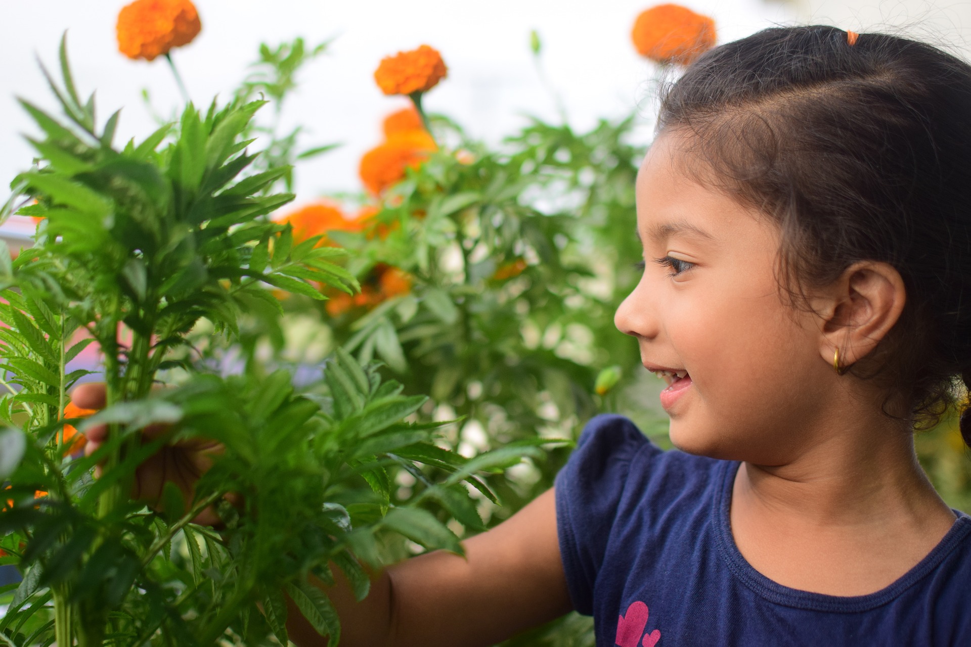a child standing in a garden with orange flowers