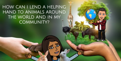 Helping Hands With Animals Image