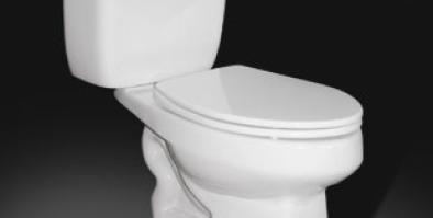 flushing toilet
