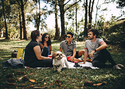 group of people at a picnic in a park with a dog.
