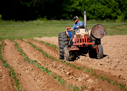 man riding on a tractor, plowing a field.