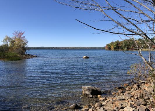Picture of Lake Auburn with rocks and trees in Auburn, Maine.