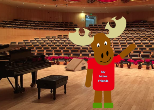 A Moose on a Concert Stage