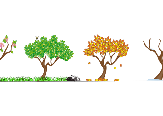 Four trees in a line, each in different seasons.  Tree 1 is a spring tree with flower buds.  Tree 2 is a green-leafed tree in summer.  Tree 3 is an orange and yellow leafed tree in fall.  Tree 4 is a leafless tree in winter. 