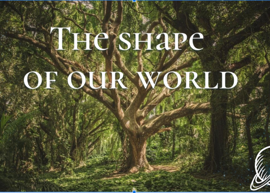 The Shape of Our World