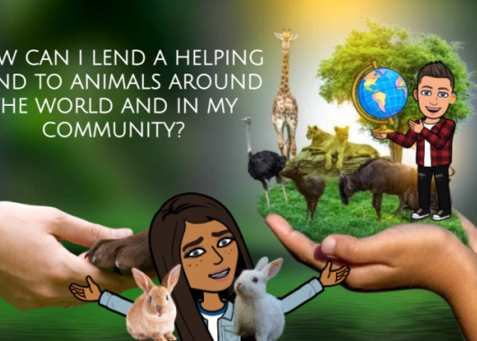 Helping Hands With Animals Image