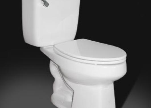 flushing toilet